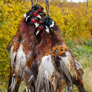 Fuglegalge. To dobbelt fuglegalge med bærerem.
